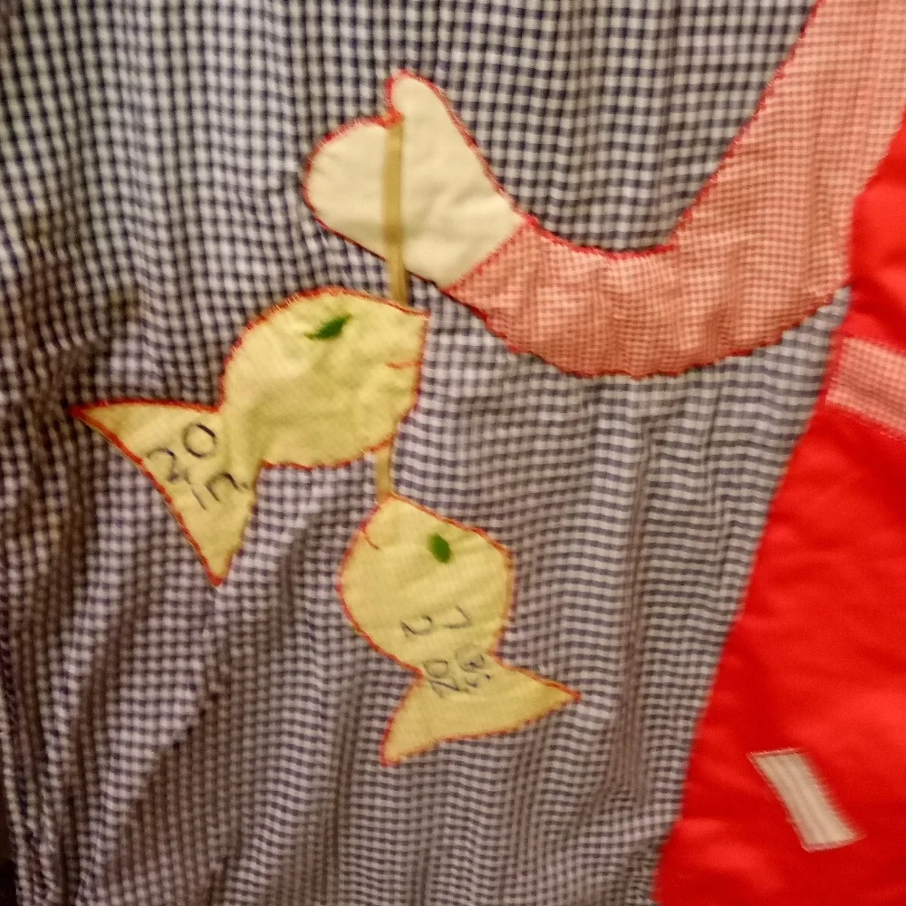 VINTAGE Handcrafted Quilt Child Boy Fishing, Blue, Red & White Checkered 53x44